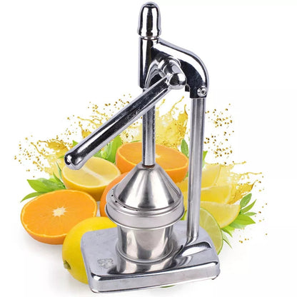 Avelena | Stainless Steel Fruit Juicer