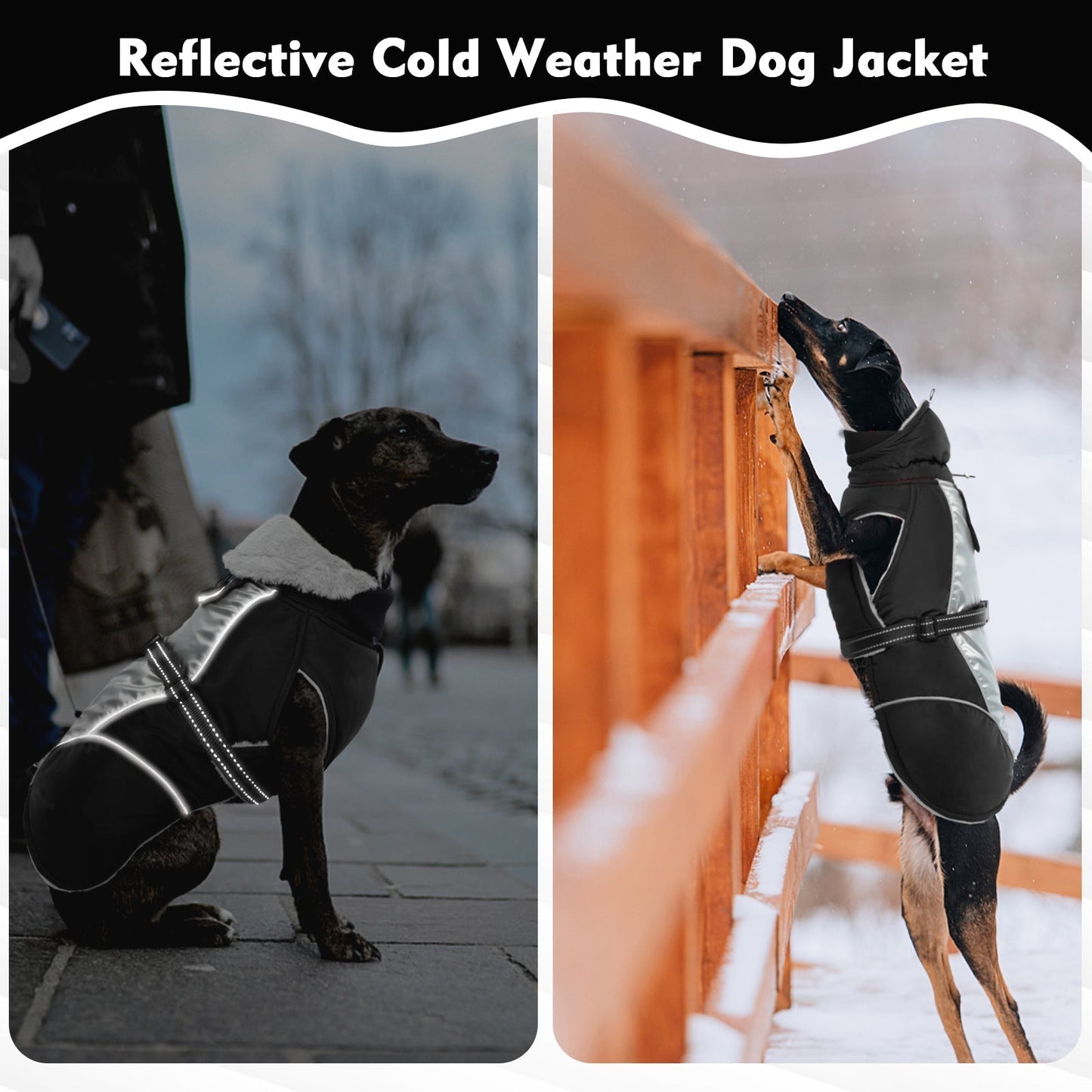 Avelena | Reflektierende Hundeweste für Winter Sicher und Warm