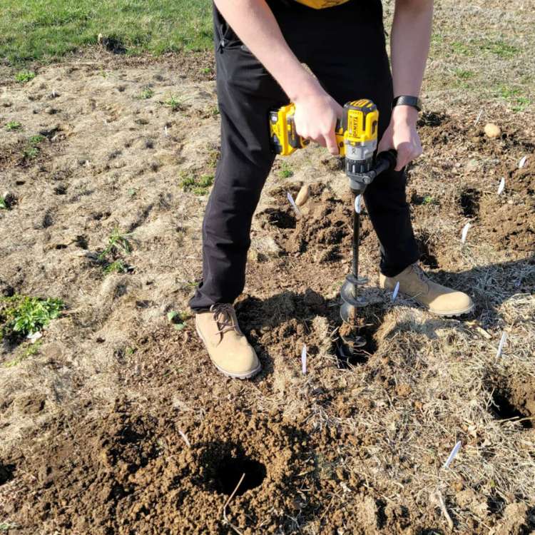 Avelena | SoilBuster Gartenbohrer - 3-Zoll Schwerlast-Spiralenwerkzeug zum Pflanzen von Zwiebeln, Blumen und Gemüse