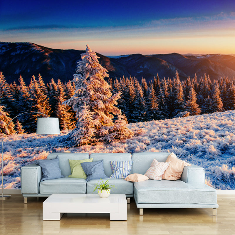 Avelena | Orange Sunset View Wandbild Luftaufnahme Des Winterwaldes Modern Waschbare Wanddekoration