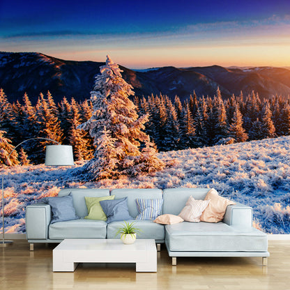 Avelena | Orange Sunset View Wandbild Luftaufnahme Des Winterwaldes Modern Waschbare Wanddekoration