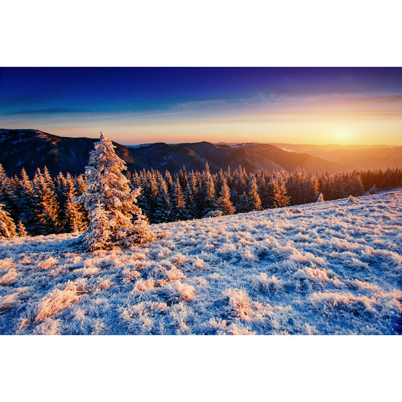 Avelena | Orange Sunset View Wandbild Luftaufnahme Des Winterwaldes Modern Waschbare Wanddekoration
