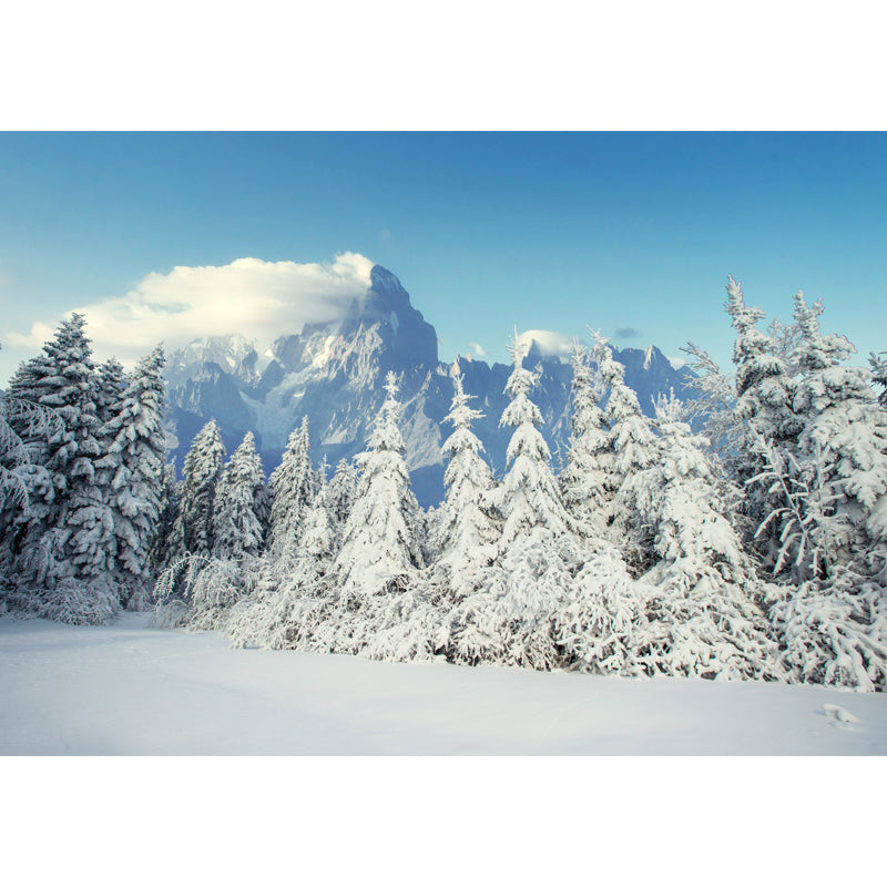 Avelena | Winter Schnee Zypresse Landschaft Wandgemälde Modern Vliesstoff Wandverkleidung In Weiß