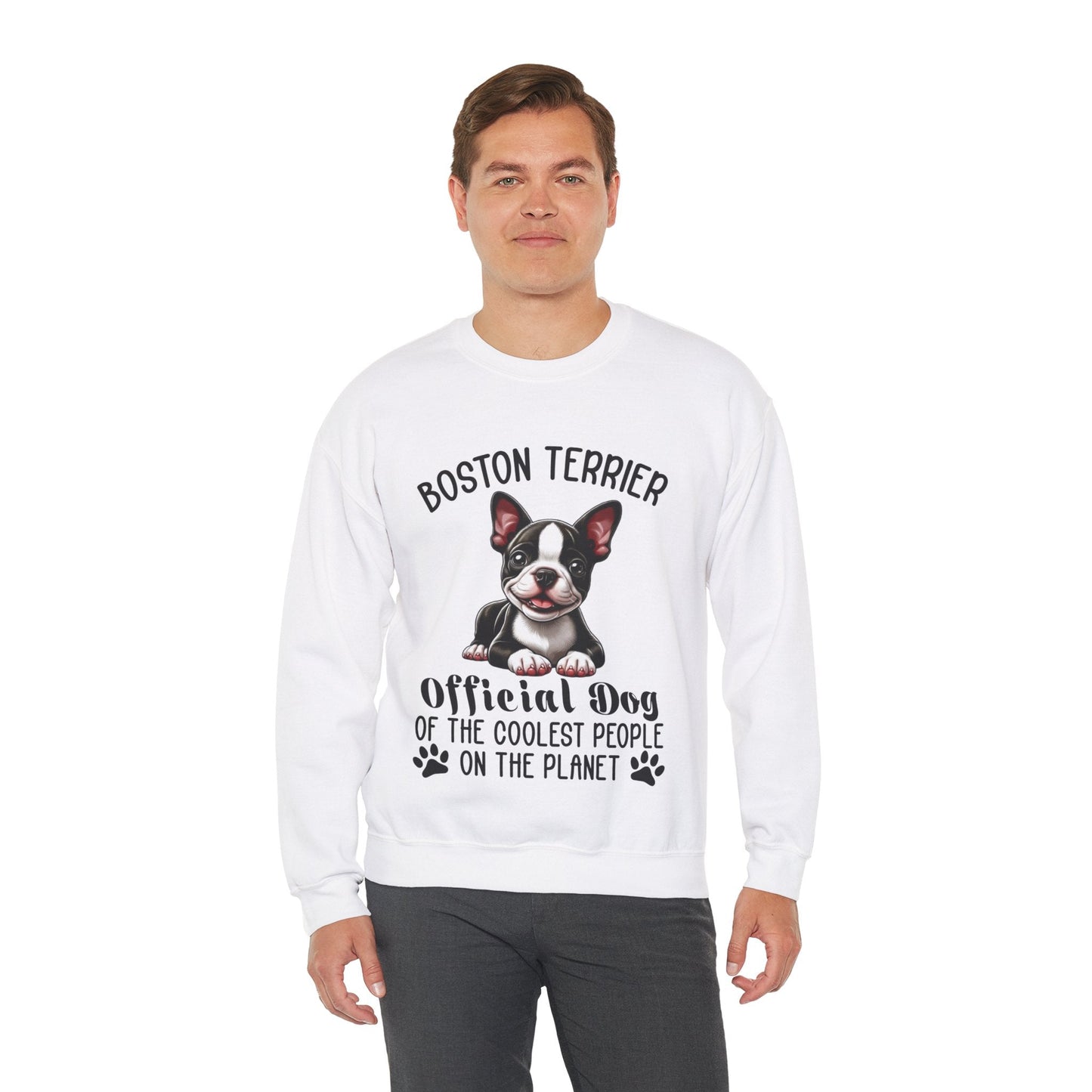 Avelena | Sinatra Unisex Sweatshirt Für Boston Terrier Liebhaber
