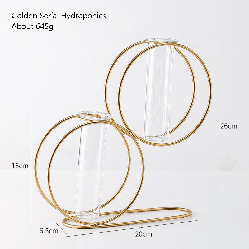 Avelena | Stil Einfach Geometrisch Metall Schmiedeeisen Transparent Glas Hydroponische Vase
