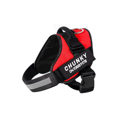 Avelena | Personalisierte Zuggeschirr für Hunde mit verstellbarem Sitz