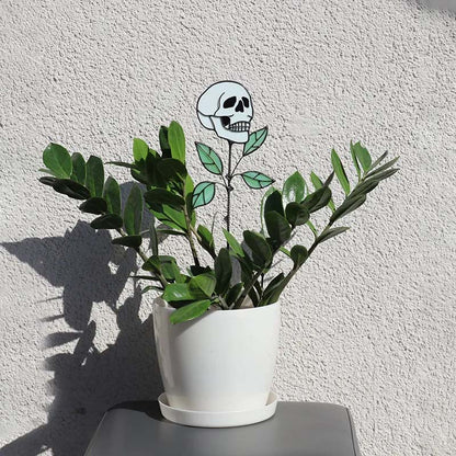 Avelena | Frühe Halloween Schädel Gefärbtes Glas Pflanze