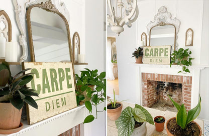 Avelena | 25.5 Vintage Carpe Diem Wanddekoration