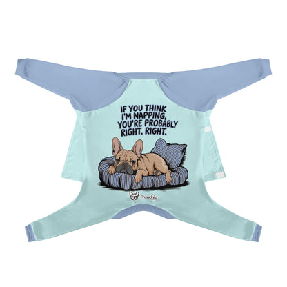 Avelena | Wenn Sie Denken, Ich Schlafe, Liegen Sie Wahrscheinlich Richtig. - Frenchie-Pyjama – Ultra-Weich, Gemütlich Und Adorably Stilvoll
