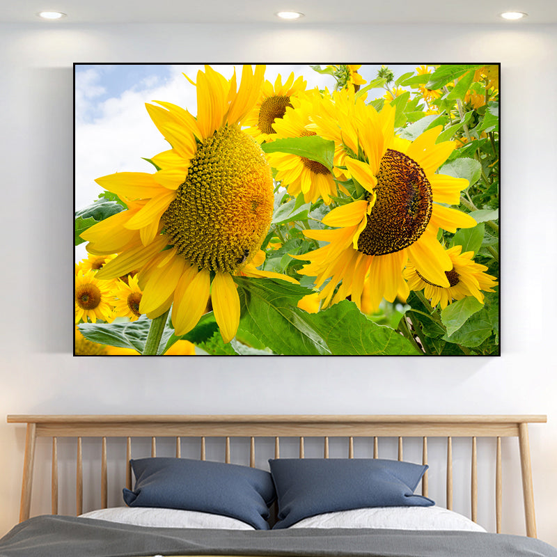 Avelena | Moderne Fotografien Sonnenblumen Kunst Druck Helle Texturierte Wanddekoration für Das Kinderzimmer
