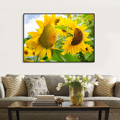 Avelena | Moderne Fotografien Sonnenblumen Kunst Druck Helle Texturierte Wanddekoration für Das Kinderzimmer