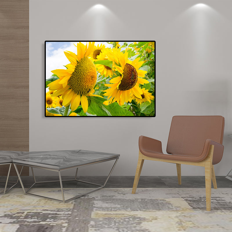 Avelena | Moderne Fotografien Sonnenblumen Kunst Druck Helle Texturierte Wanddekoration für Das Kinderzimmer