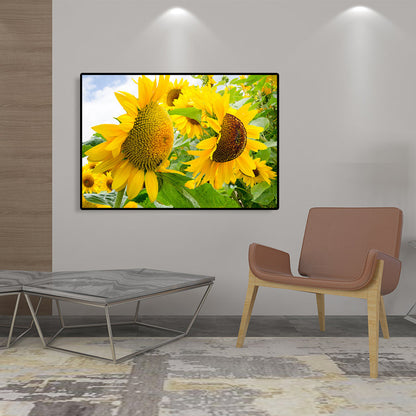 Avelena | Moderne Fotografien Sonnenblumen Kunst Druck Helle Texturierte Wanddekoration für Das Kinderzimmer