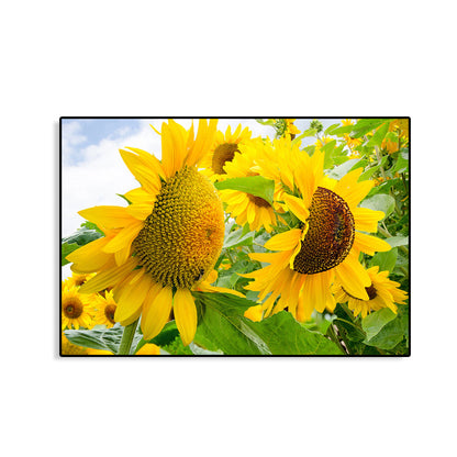 Avelena | Moderne Fotografien Sonnenblumen Kunst Druck Helle Texturierte Wanddekoration für Das Kinderzimmer