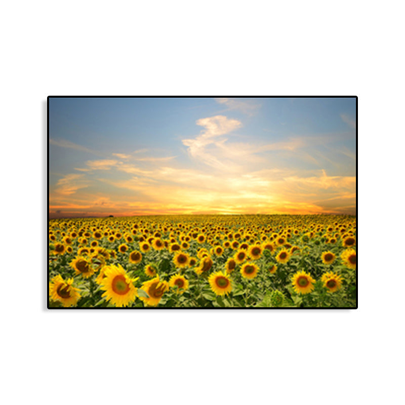 Avelena | Moderne Fotografien Sonnenblumen Kunst Druck Helle Texturierte Wanddekoration für Das Kinderzimmer