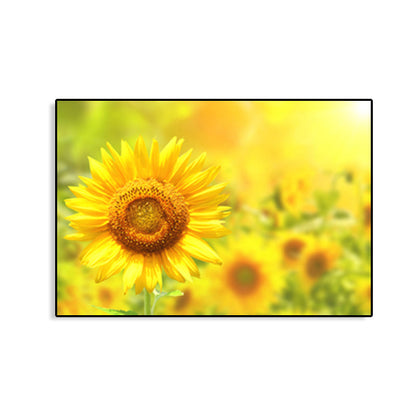 Avelena | Moderne Fotografien Sonnenblumen Kunst Druck Helle Texturierte Wanddekoration für Das Kinderzimmer