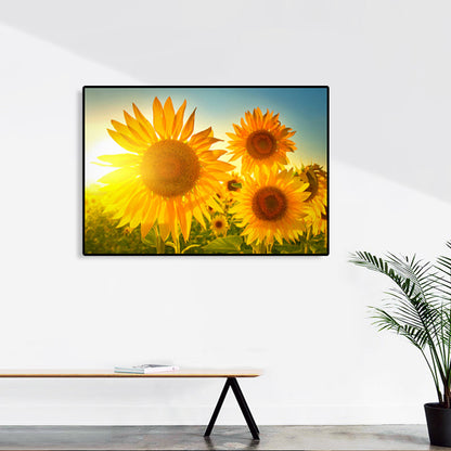 Avelena | Moderne Fotografien Sonnenblumen Kunst Druck Helle Texturierte Wanddekoration für Das Kinderzimmer