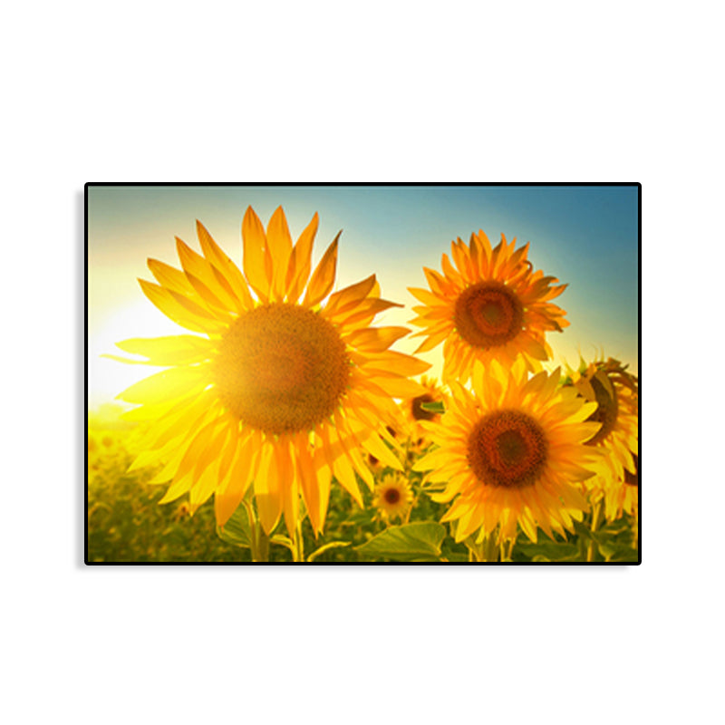 Avelena | Moderne Fotografien Sonnenblumen Kunst Druck Helle Texturierte Wanddekoration für Das Kinderzimmer