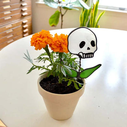 Avelena | Frühe Halloween Schädel Gefärbtes Glas Pflanze