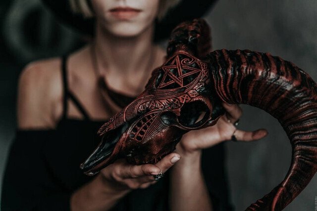 Avelena | Ausgehöhlter Widderkopf