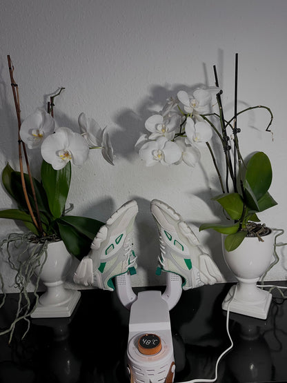 Avelena | DryKick Hygienische Schuhlösung