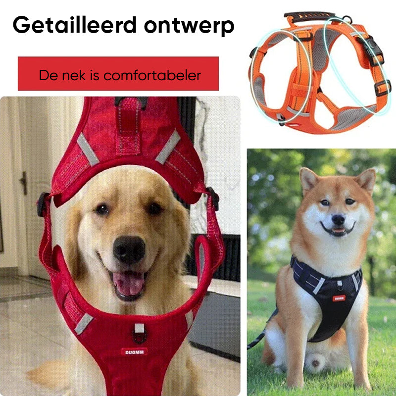 Avelena | Hundegeschirr