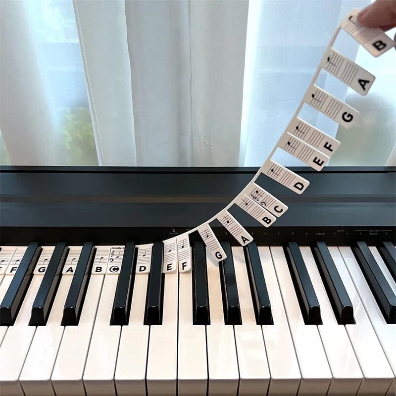Avelena | Piano Keyboard Notenetiketten