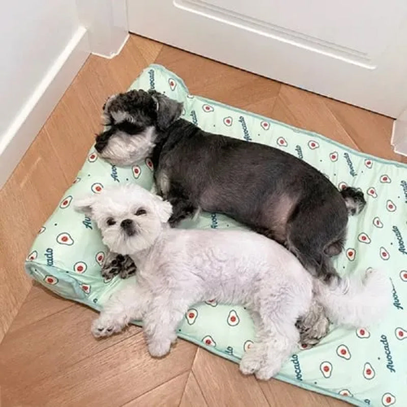 Avelena | Aus Ice Silk für Hunde und Katzen
