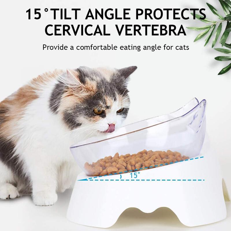 Avelena | Erbrechen Katze Schüssel