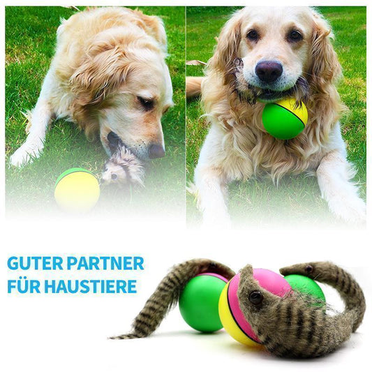 Avelena | Biber Ball für Haustier