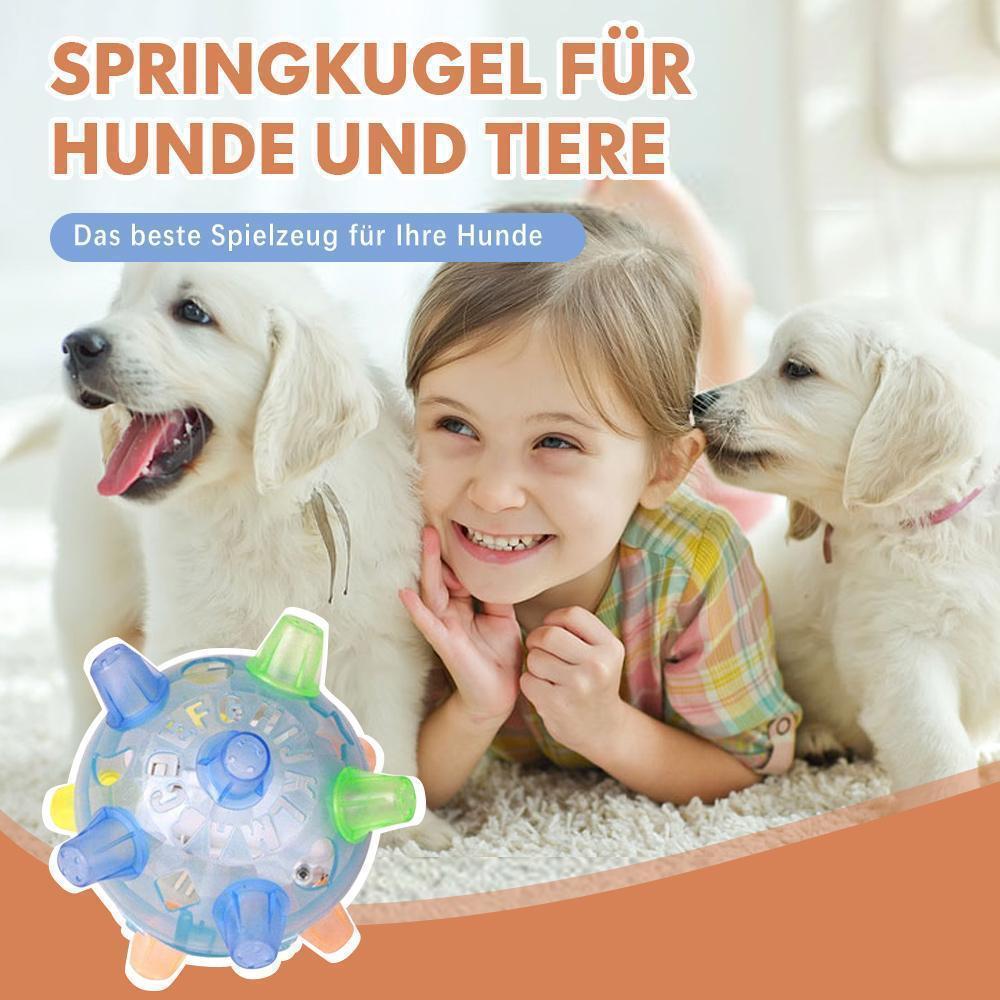 Avelena | Springkugel für Hunde und Tiere