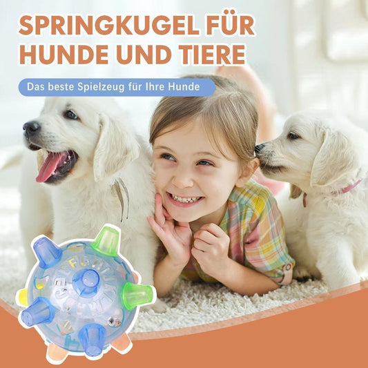 Avelena | Springkugel für Hunde und Tiere