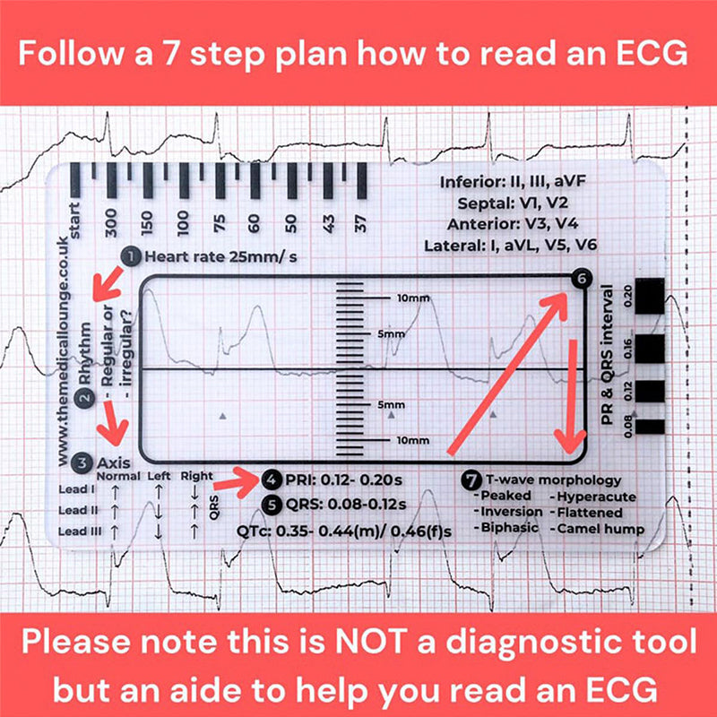 Avelena | ECG 7 Schritte Lineal