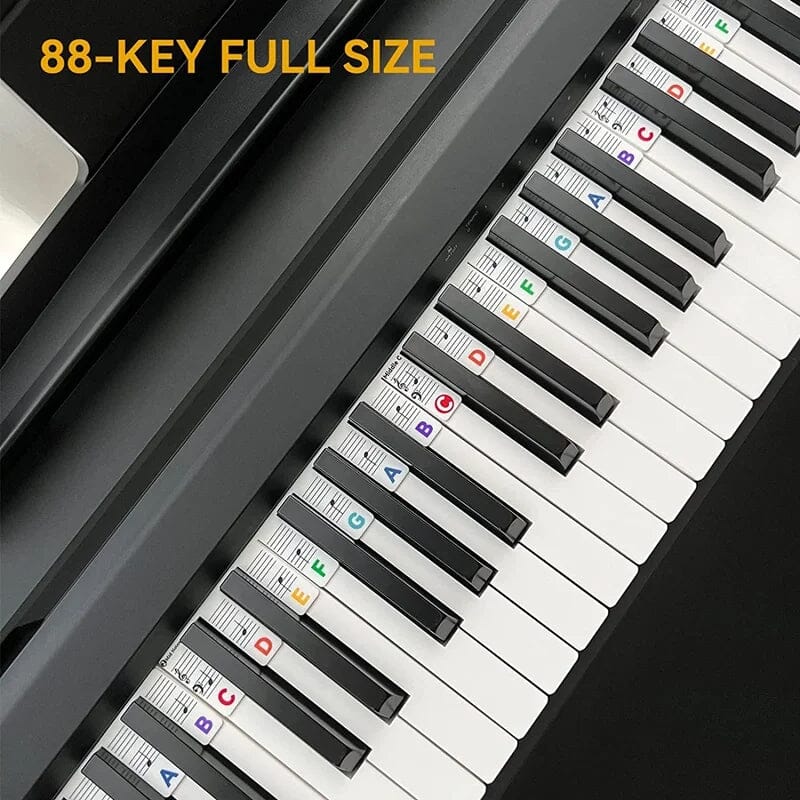 Avelena | Piano Keyboard Notenetiketten