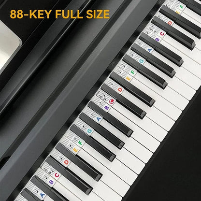 Avelena | Piano Keyboard Notenetiketten
