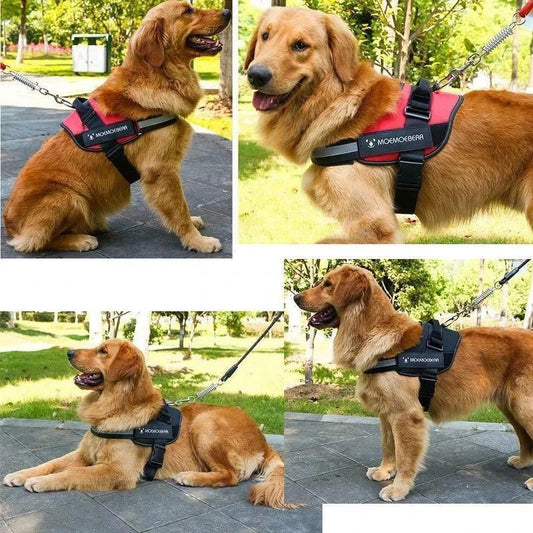 Avelena | Reflektierende all-in-one No Pull-Hundegeschirr