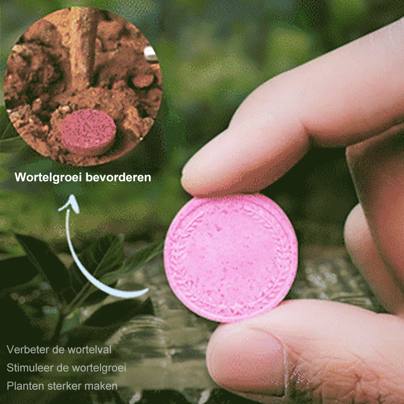 Avelena | Garten-Dünger Tabletten mit Langzeit-Düngung