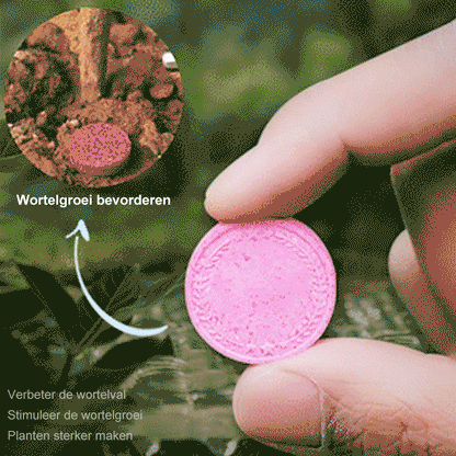 Avelena | Garten-Dünger Tabletten mit Langzeit-Düngung
