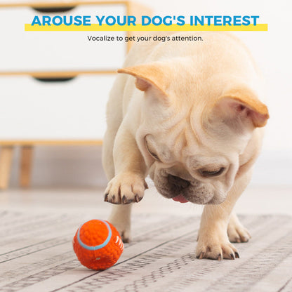 Avelena | Unsterblicher Spielzeug für aggressive Kauer