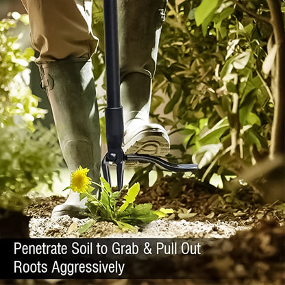 Avelena | Edelstahl verstellbarer langer Griff abnehmbarer Unkrautzieher