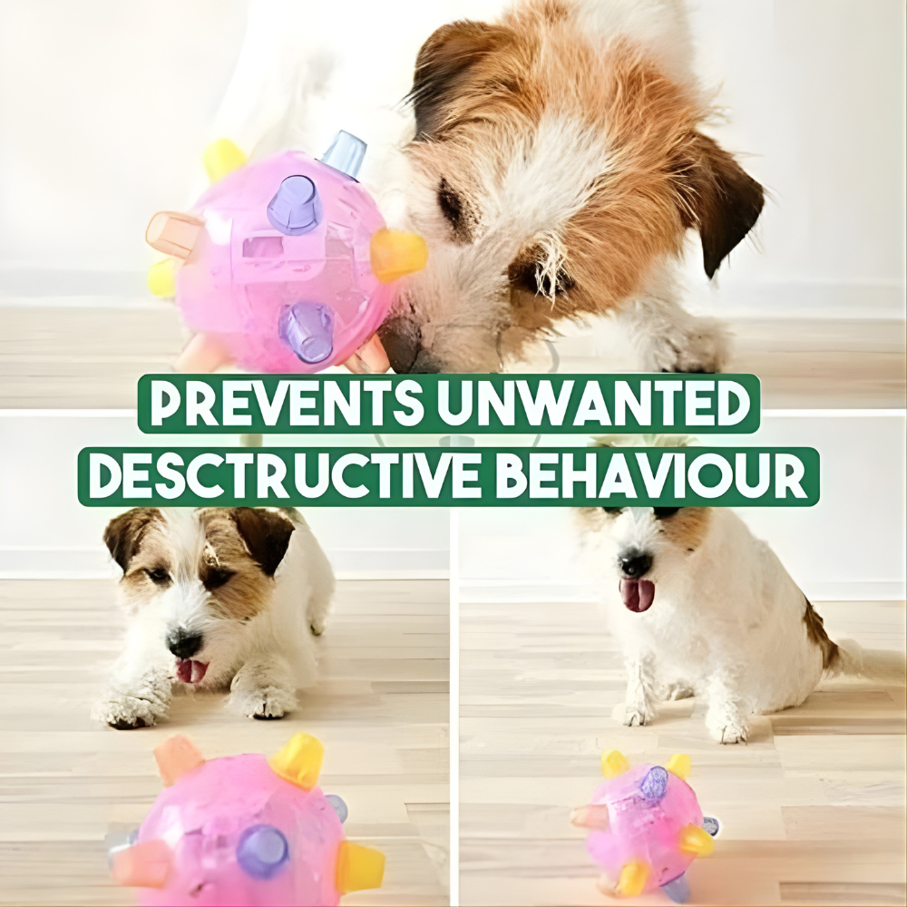 Avelena | Dog Ball Toy Interactive LED Bouncing Rubber Light Up Play Ball