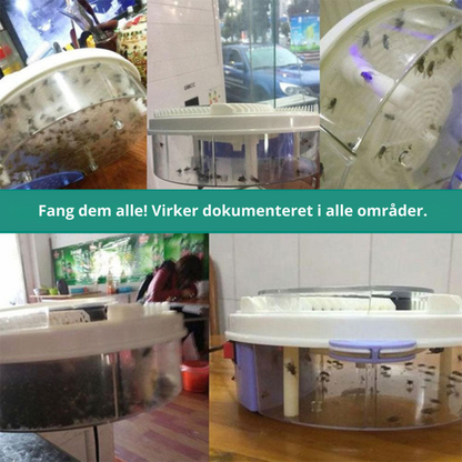 Avelena | BuzzOff | FliegenFrei – Die beste Fliegenfalle der Welt