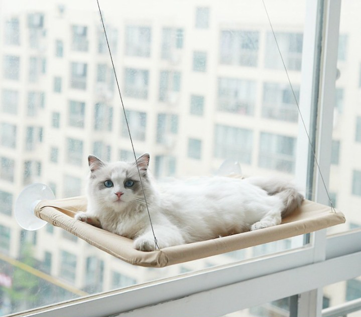 Avelena | Katze Fenster Hängematte