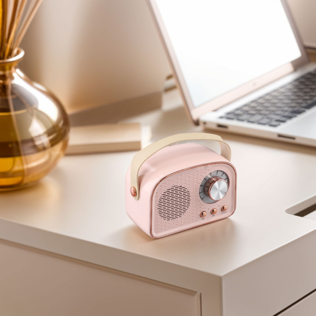 Avelena | SoundJoy | Tragbarer Retro Lautsprecher mit FM Radio
