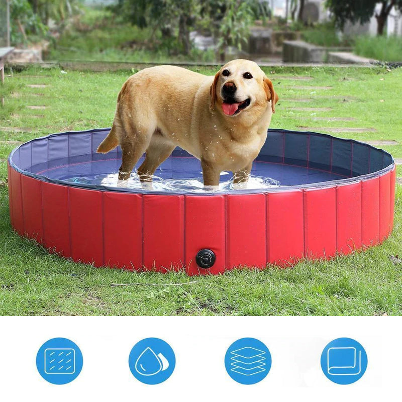 Avelena | Paw Pool