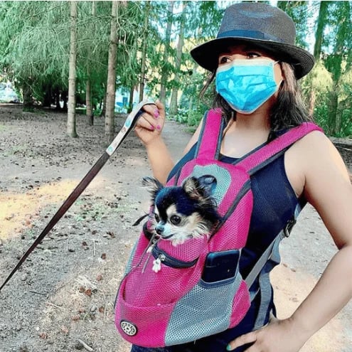 Avelena | Dogfri Rucksack Atmungsaktiver Hundeträger