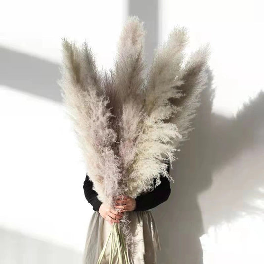 Avelena | Pampas Getrocknete Blumen