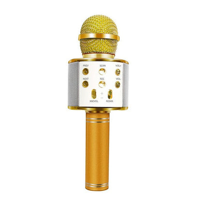 Avelena | Wiederaufladbares drahtloses Bluetooth Karaoke Mikrofon