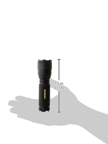 Avelena | Rayovac Roughneck Led Taschenlampe, 220 Lumen, Edc mit Gürtel & Aaa Batterien, Schwarz