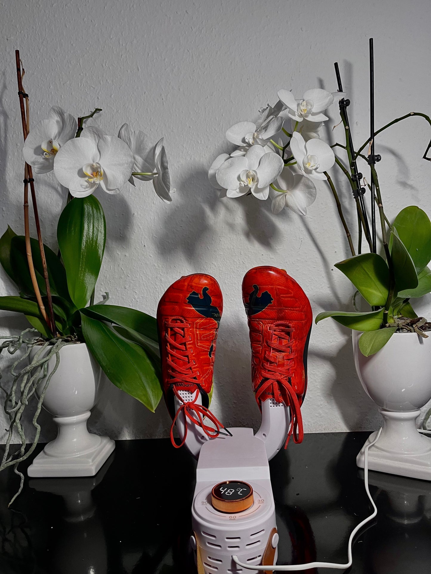 Avelena | DryKick Hygienische Schuhlösung